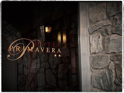 Hotel Primavera Zermatt Room photo